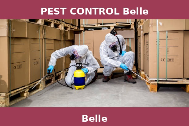 PEST CONTROL Belle